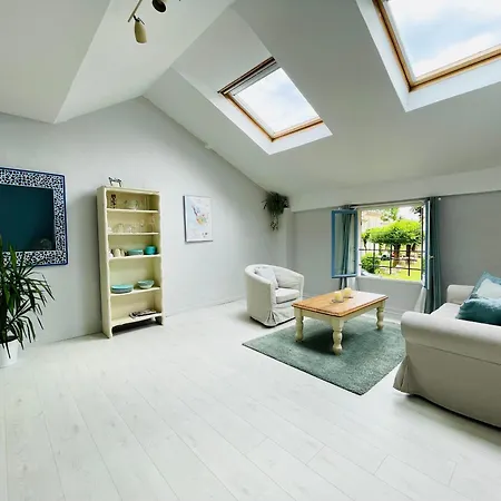 Loft Petit Verdot *
